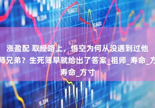涨盈配 取经路上，悟空为何从没遇到过他的师兄弟？生死簿早就给出了答案_祖师_寿命_方寸