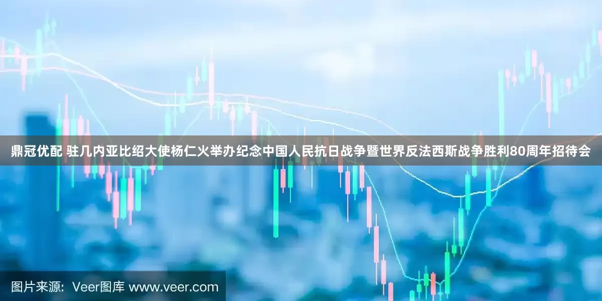 鼎冠优配 驻几内亚比绍大使杨仁火举办纪念中国人民抗日战争暨世界反法西斯战争胜利80周年招待会