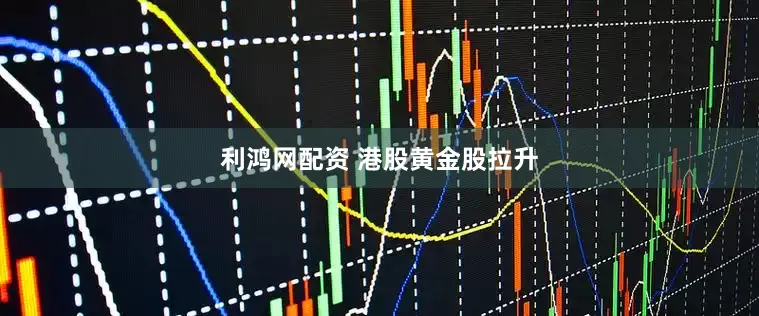 利鸿网配资 港股黄金股拉升