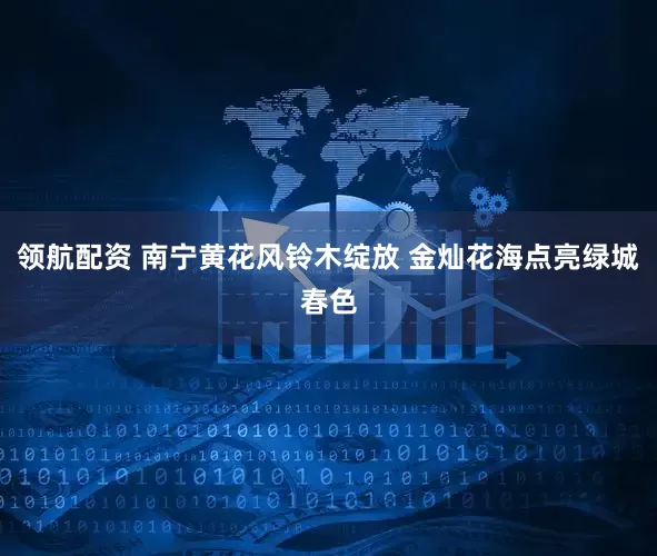 领航配资 南宁黄花风铃木绽放 金灿花海点亮绿城春色